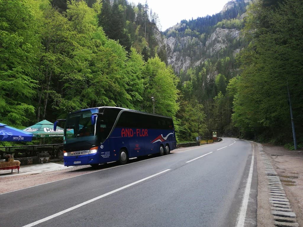 And Flor - Taxi imagine