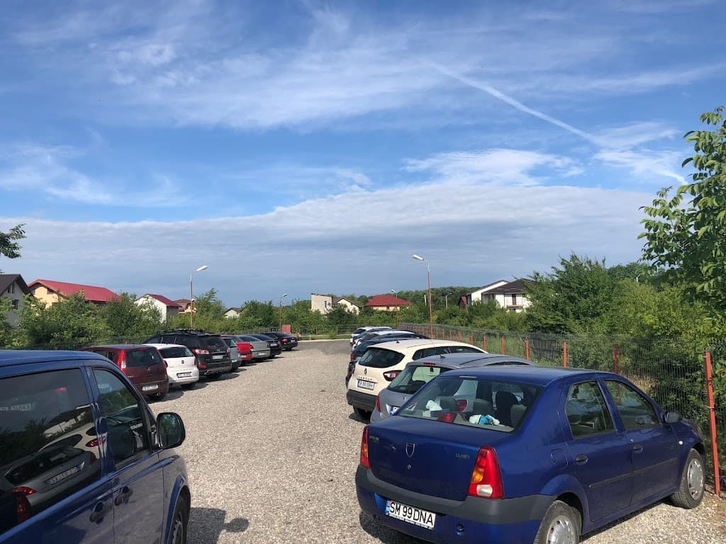 EasyFlyParking Parcare Otopeni - Taxi imagine