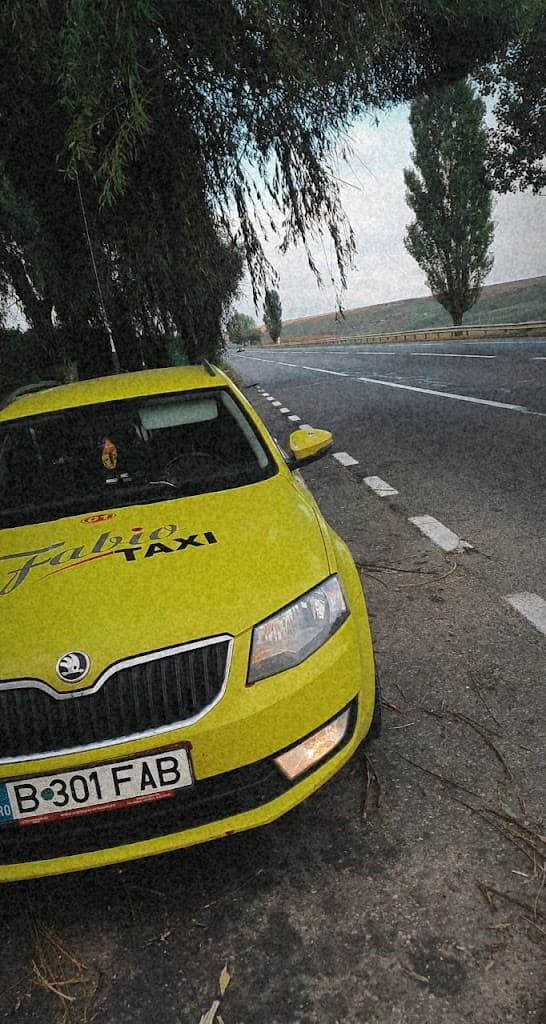 Fabio Taxi Roman - Taxi imagine