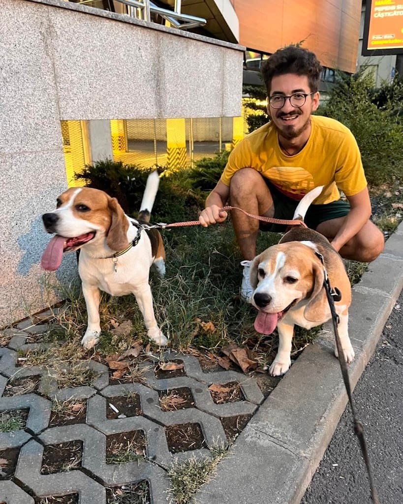 Ham la Plimbare - Taxi imagine