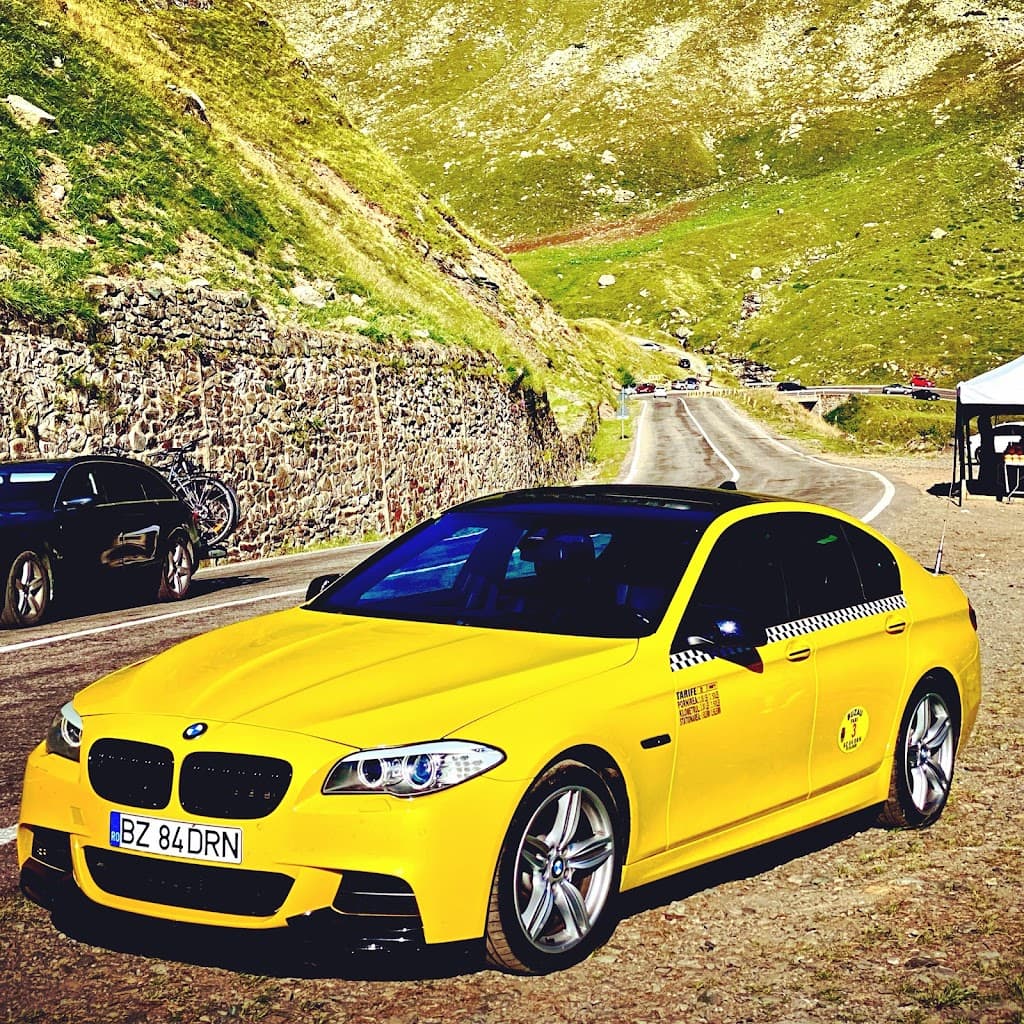 IANI TAX DEMO S.R.L. - Taxi imagine