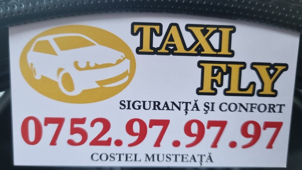 Musteata Constantin ii - Taxi imagine