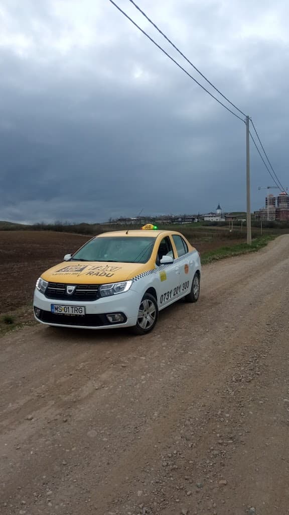Radu Taxi Ludus - Taxi imagine