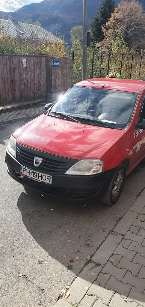 Safe Taxi Busteni - Taxi imagine