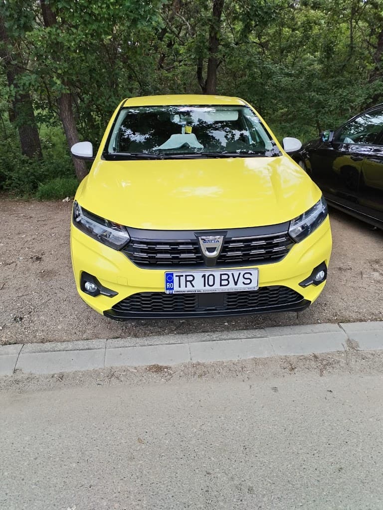 Taxi Alexandria BVS - Taxi imagine