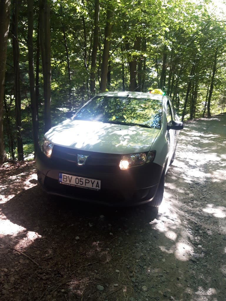 Taxi Bran - Brasov PYA - Taxi imagine