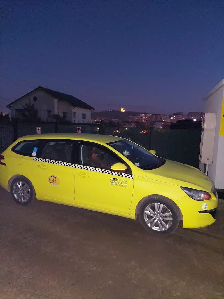 Taxi Buzau - Taxi imagine