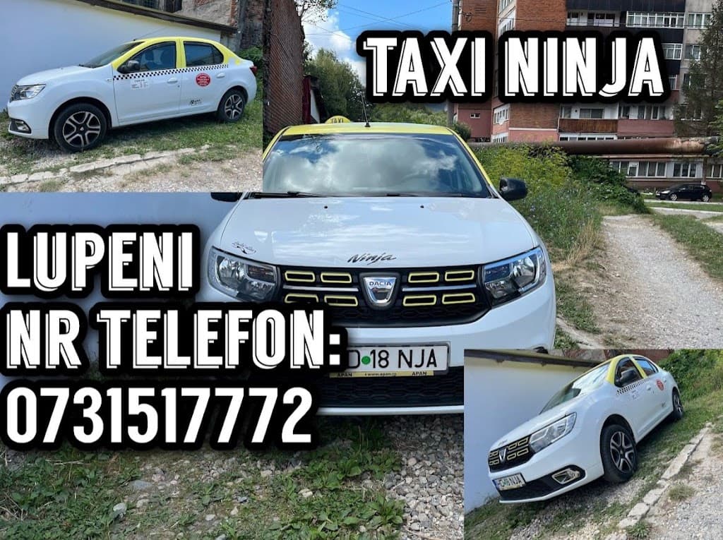 Taxi Lupeni - Taxi imagine