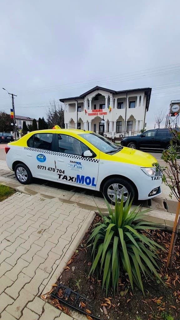 TAXI MOL Coarnele Caprei - Taxi imagine
