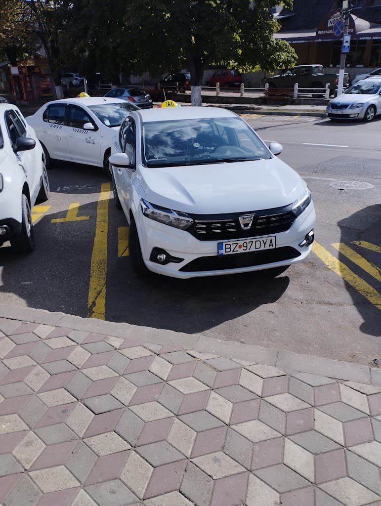 Taxi Nehoiu DYA - Taxi imagine