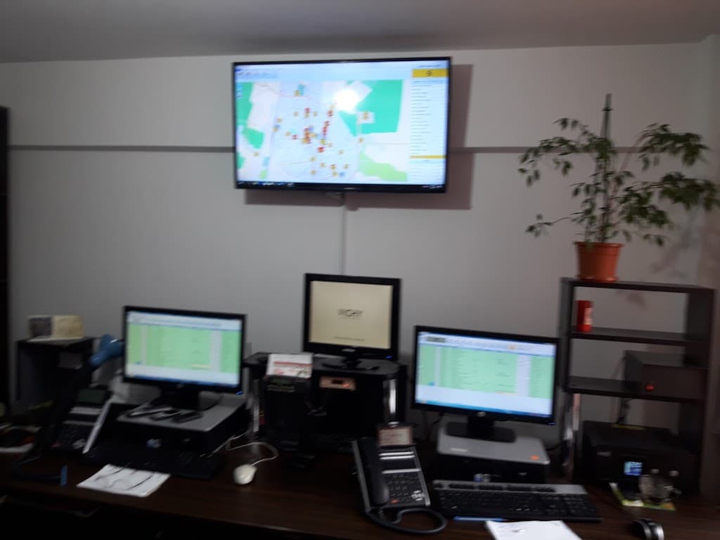 Taxi P. Fulger - Taxi imagine