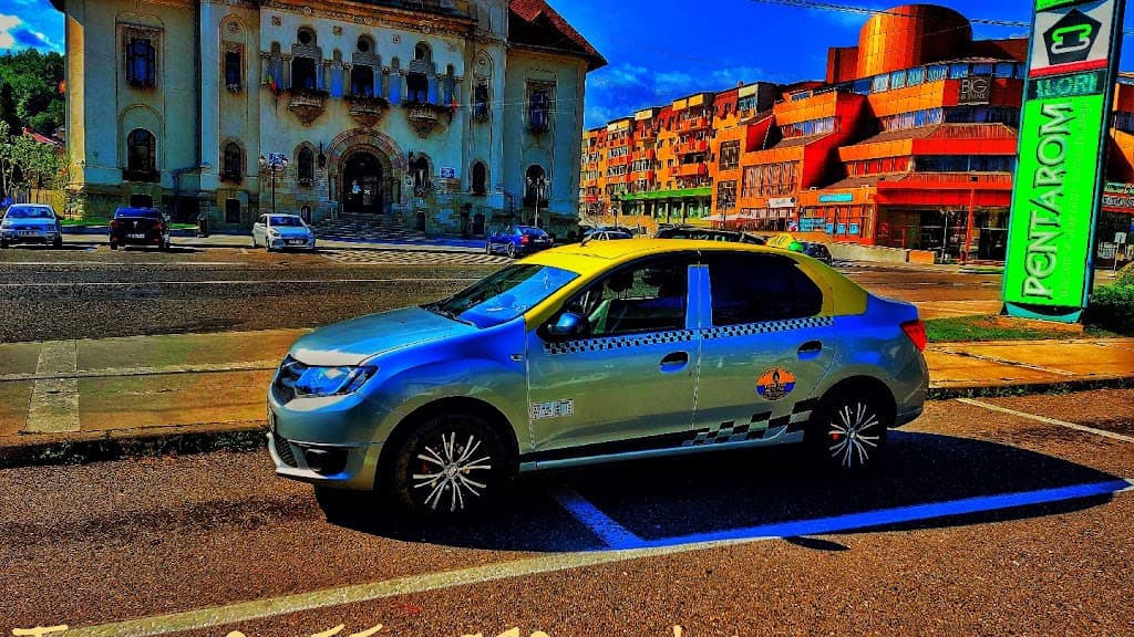 Taxi T.N.S Campulung Muscel - Taxi imagine