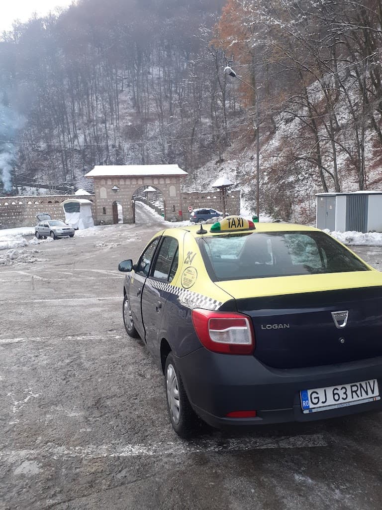 TAXTOUR RNV SRL - Taxi imagine