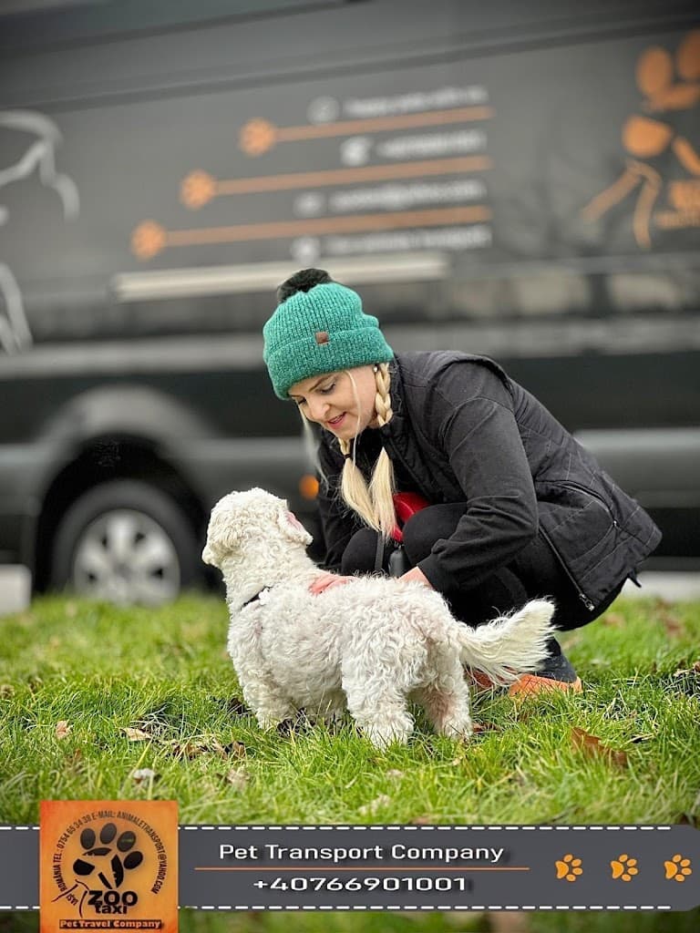 Transport Caini si Pisici ***** ZooTaxi - Taxi imagine