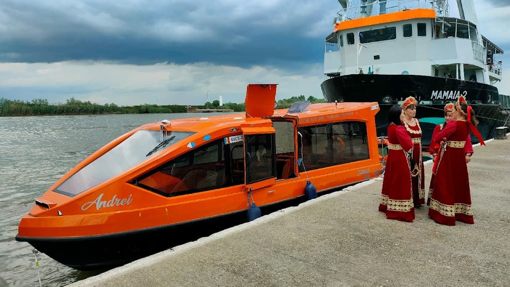 Transport Mila 23 Pelicanul Express - Taxi imagine