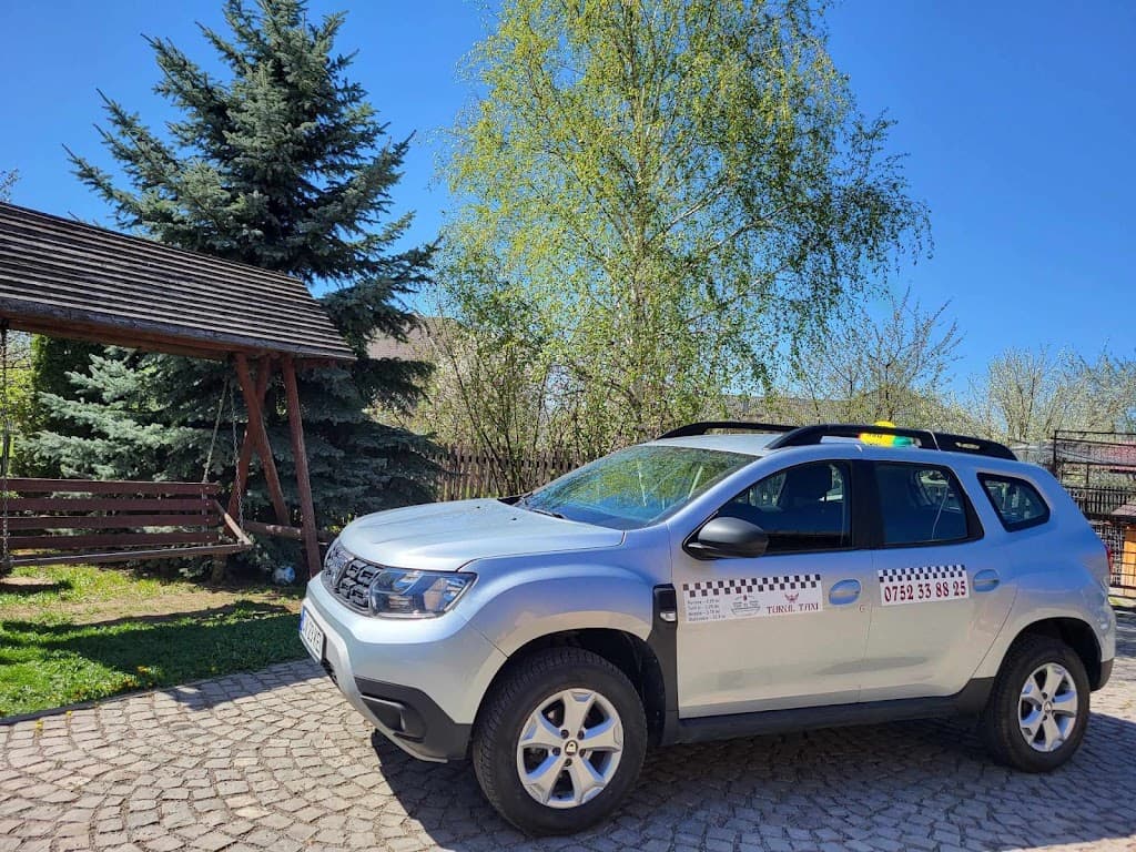 Turul Taxi - Taxi imagine