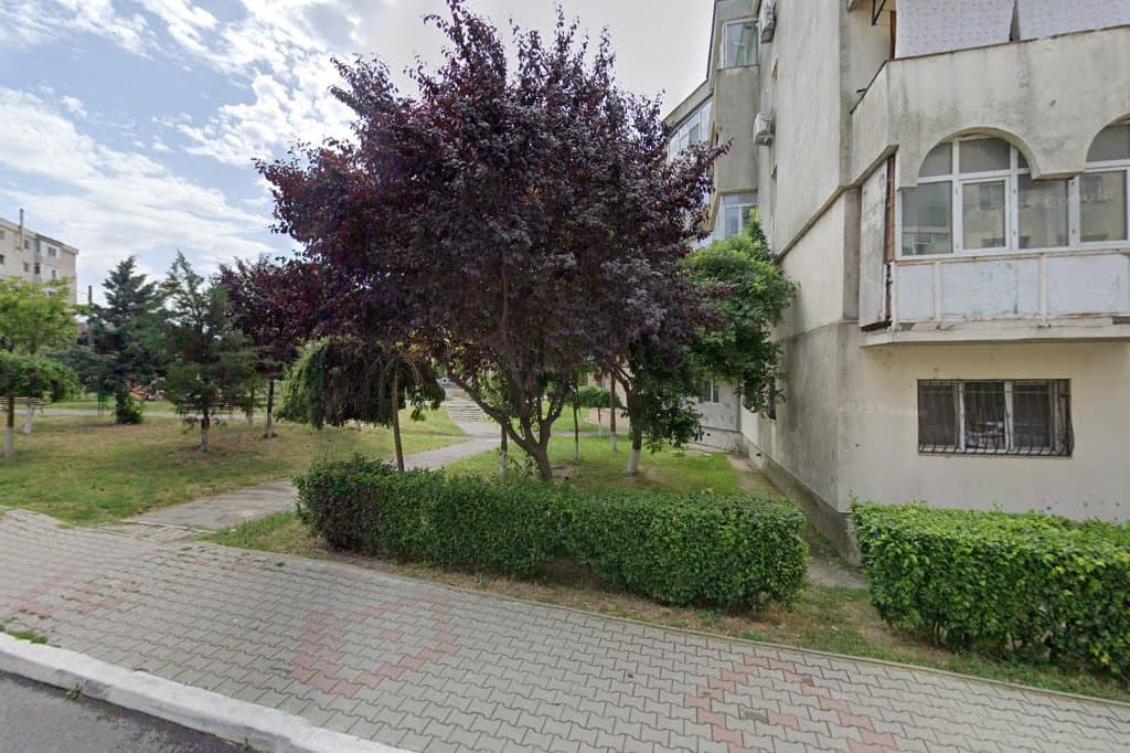 Marius Taxi HARSOVA - Taxi imagine