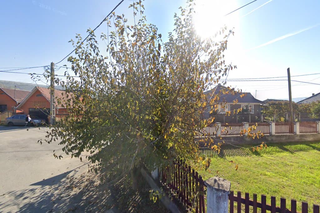 MAROVI S.R.L. - Taxi imagine