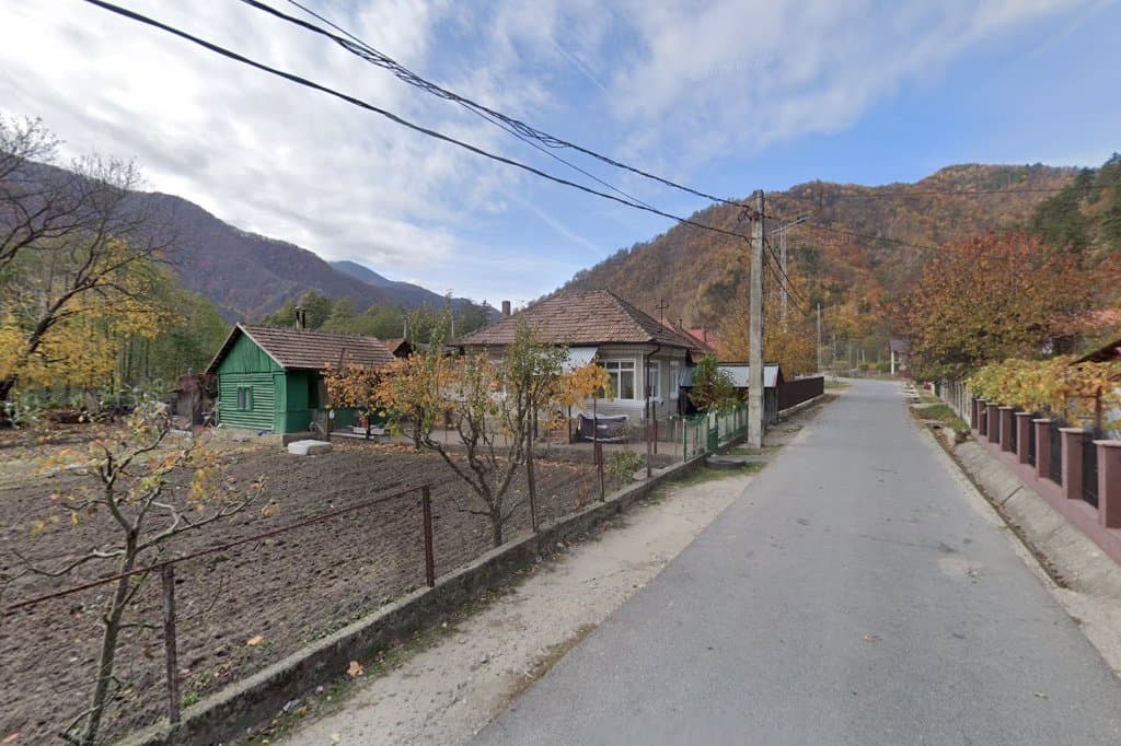 SC ANDREI-ARIS SRL - Taxi imagine