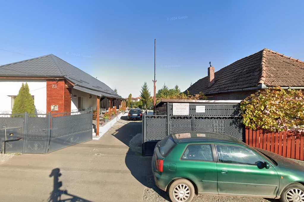 Tarsin Colete - Taxi imagine