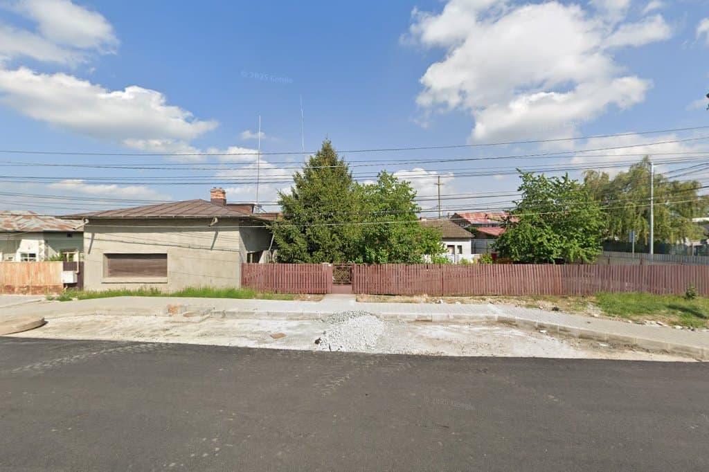 Taxi Magnific - Taxi imagine