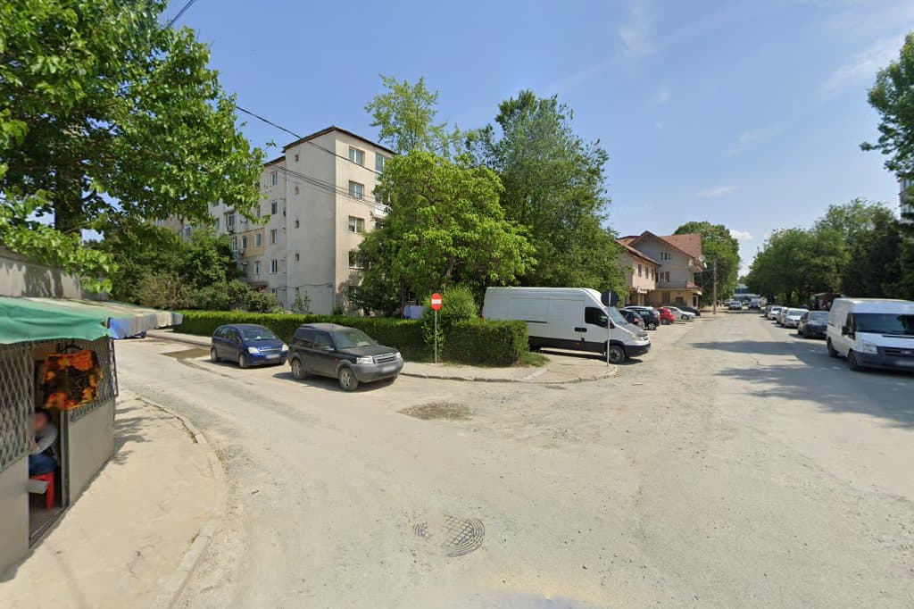 TAXI MIOC MARIAN - Taxi imagine