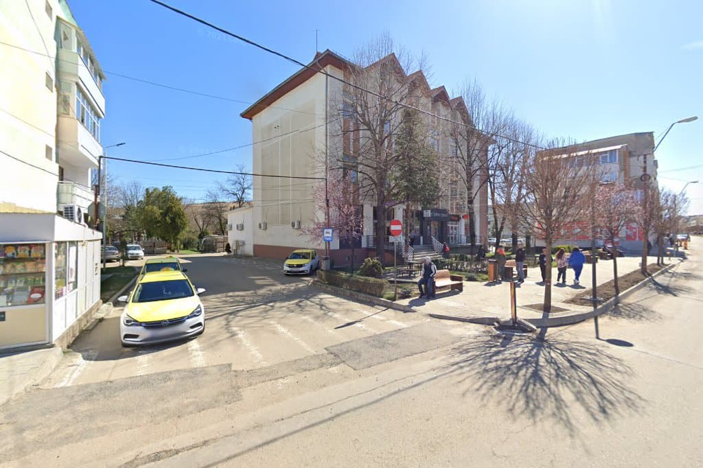 Taxi Moinesti-Catalin - Taxi imagine