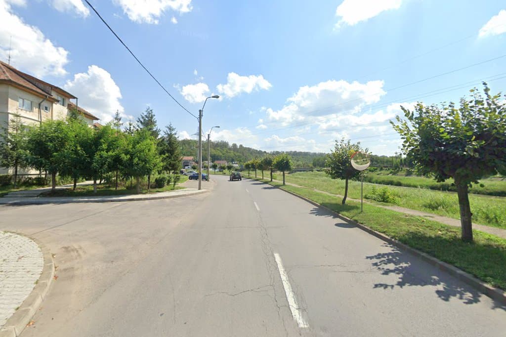 Taxi Onesti ( VALi ) - Taxi imagine