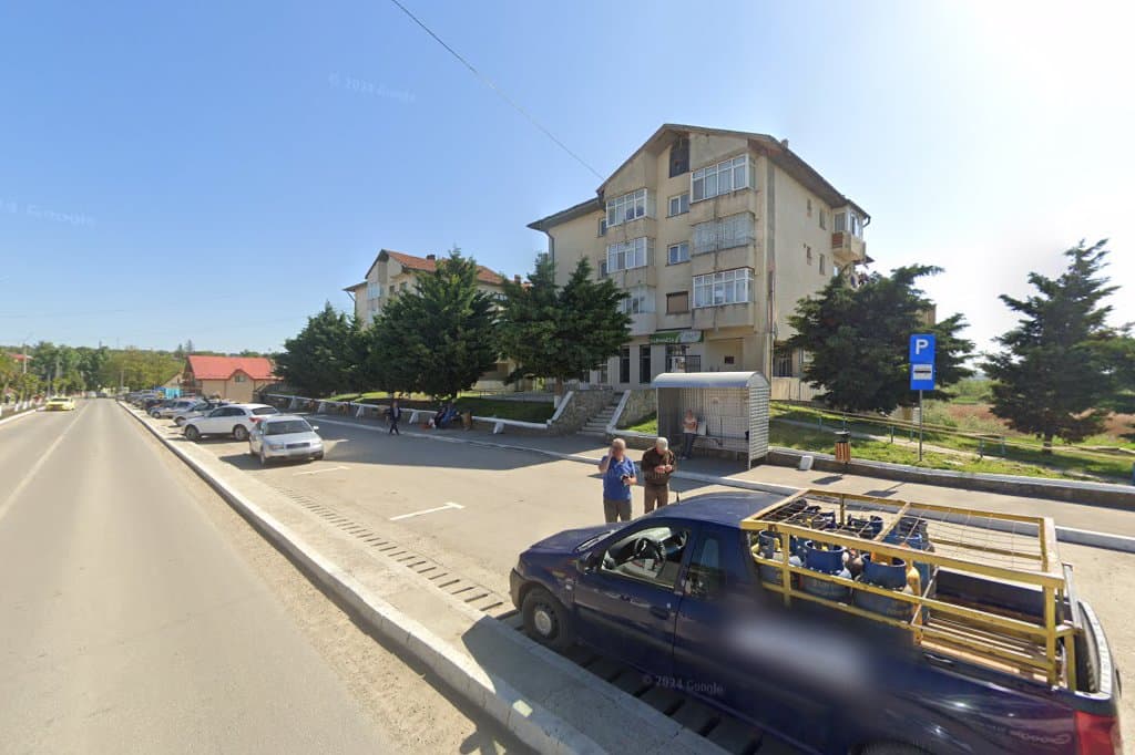 TaxiMol - Taxi imagine